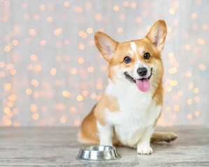 Aufkleber - Pembroke Welsh Corgi puppy sits with a empty bowl at home