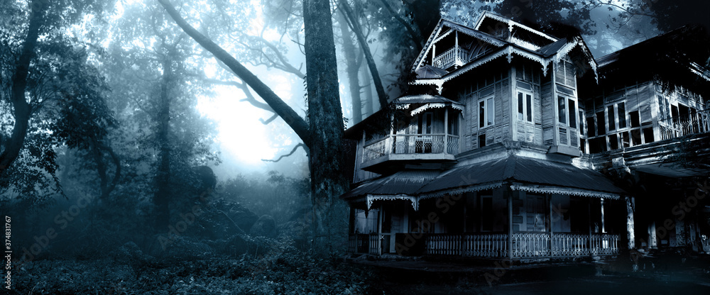 Haunted house. Old abandoned house in the night forest - obrazy, fototapety, plakaty 