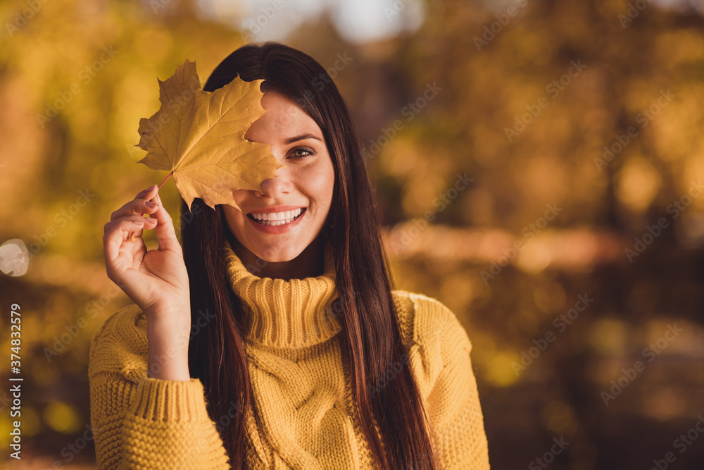 Close up photo of positive cheerful girl enjoy autumn travel fall woodland trip close cover eyes maple leaf wear jumper sweater - obrazy, fototapety, plakaty 