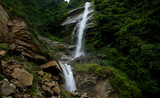 Fototapeta Na ścianę - A water falls from a high cliff in a rocky forest in Himalaya in Sikkim in India