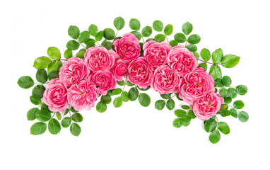 Wall Mural - Pink roses flowers arc isolated white background Floral botanical flatlay