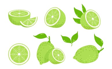 Poster - Lime fruits. Citrus slices, isolated green lemons. Fresh vitamin c vector illustration. Citrus lemon, ripe lime juice, fruit food