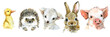cute funny little animals watercolor set