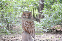 Beautiful Shot Of A Wooden Carved Owl Figurine In A Forest
