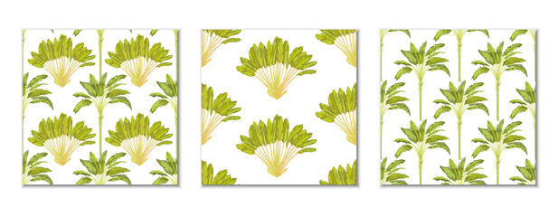 Ravenala and banana tree seamless, pattern