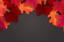 Autumn Maple Leaves Background. Fall Banner Template. Red And Orange Foliage. Thanksgiving Season Holiday Concept. Realistic 3d Vector Illustration.