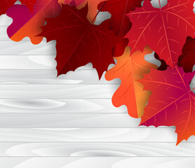Wall Mural - Autumn maple leaves background. Fall banner template. Red and orange foliage on white wooden board planks. Thanksgiving season holiday concept. Realistic 3d vector illustration.