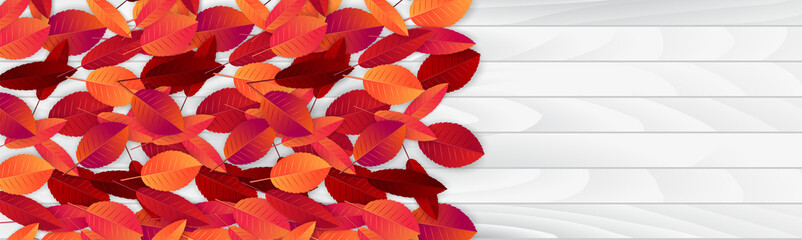 Wall Mural - Autumn leaves banner or header. Fall background. Red and orange foliage on wooden board. Thanksgiving season holiday concept. Realistic 3d vector illustration.
