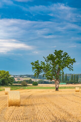 Wall Mural - Herbst