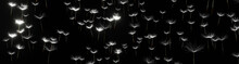 Panoramic View Of Dandelion Seeds On A Black Background 3D Render