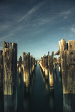 Panoramic View Of Wooden Posts In Lake Against Sky