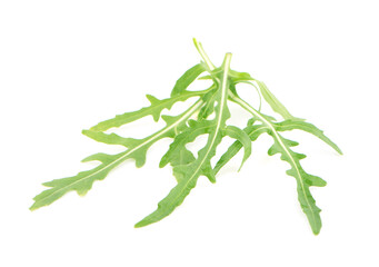 Wall Mural - green arugula leave an isolated on white background.