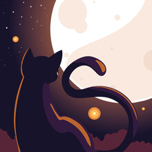 Halloween Background With Cat In Dark Night And Full Moon