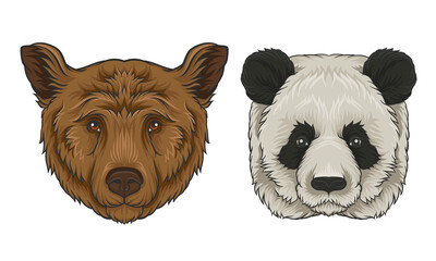 Wall Mural - brown bear and giant panda muzzle with fur vector set