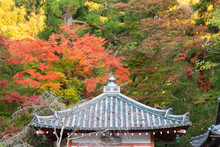 Details Of Rooftop Of Historical Architecture And Red Maple Leaves In Kyoto, Japan In Autumn Season