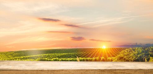 empty wooden table on the background of vines, tuscan landscape at sunrise