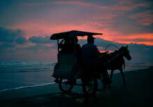 Silhouette People On Horse Cart At Beach During Sunset