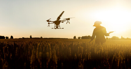 Wall Mural - Farmer controls drone sprayer with a digital tablet