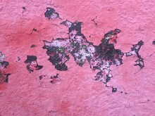 Pink Wall Mold