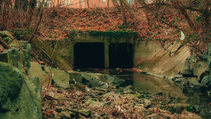 Wall Mural - A Dark Tunnel in a Shallow Creek in an Autumn Forest