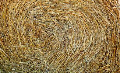 background texture wallpaper using tree bark structure, wood and straw products in Podlasie, Poland