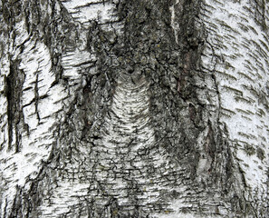 background texture wallpaper using tree bark structure, wood and straw products in Podlasie, Poland