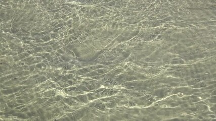 Wall Mural - Beautiful moving water surface at a baltic sea beach with sunlight caustics 