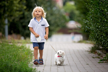 Sticker - Cute toddler child with white maltese puppy, playing in the park, walking