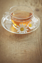 Cup Of Camomile Tea