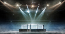 MMA Cage Night. Fighting Championship. Fight Night. 3D Render MMA Arena. View Of The Arena By Spotlights. Full Tribune