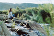 © Micky Wiswedel/Stocksy - Woman sitting quietly on some rocks in a river at sunrise