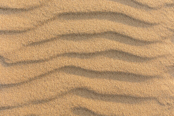 Canvas Print - .Wavy sea sand background