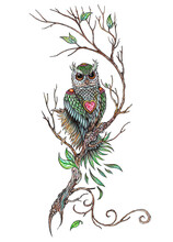 Art Design Owl On The Tree. Hand Painting On Paper.
