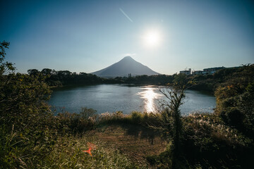 Canvas Print - 桜島