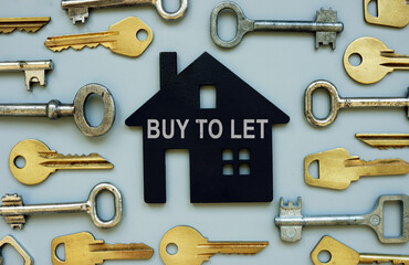 Sticker - Buy to let concept. Lots of keys and a model of the house.