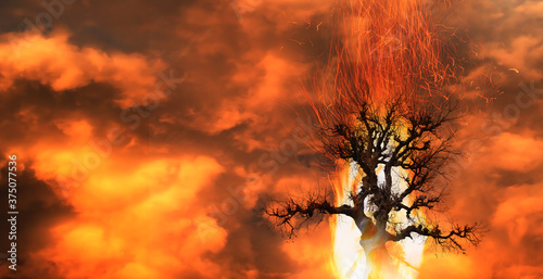 Cuadros en Lienzo Burning Tree on fire at day with stormy sky