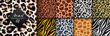 Trendy Wild Animal Seamless Pattern Collection. Vector Leopard, Cheetah, Tiger, Giraffe, Zebra Skin Texture Set For Fashion Print Design, Fabric, Textile, Wrapping Paper, Background, Wallpaper