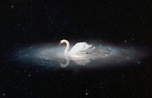 White Swan In The Centre Of  Andromeda Galaxy "Elements Of This Image Furnished By NASA" 
