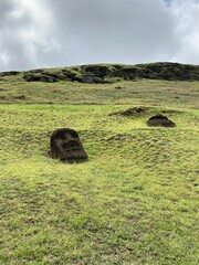 Canvas Print - Tête de moaï sur la pente du volcan Rano Raraku à l'île de Pâques