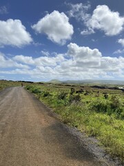 Poster - Route de l'île de Pâques