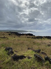 Poster - Littoral volcanique de l'île de Pâques	