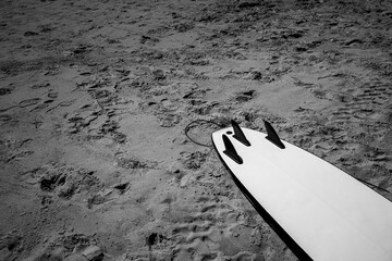 Canvas Print - Gray scale shot of a white surfing board on a sand - perfect for background