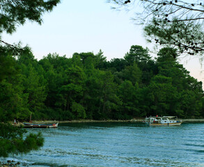 Beautiful sea landscape. Sea and green trees. 