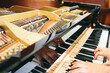 © Michela Ravasio/Stocksy - Adjustment and tuning of piano