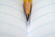 © Cara Dolan/Stocksy - Sharpened pencil resting on a lined notebook
