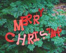 Wood Letters Spelling Merry Christmas Hang In A Fir Tree