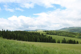 Fototapeta Krajobraz - forest in the poland mountains