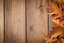Oak Leaves On A Wooden Board