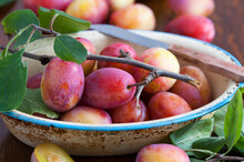 Harvested Fresh Plums In A Vintage Enamelled Dish