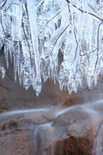 Ices Formed On Twigs By Frozen Spray From A Waterfall